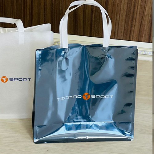 Laminated Carry Bags with Handle / D-Cut Bags